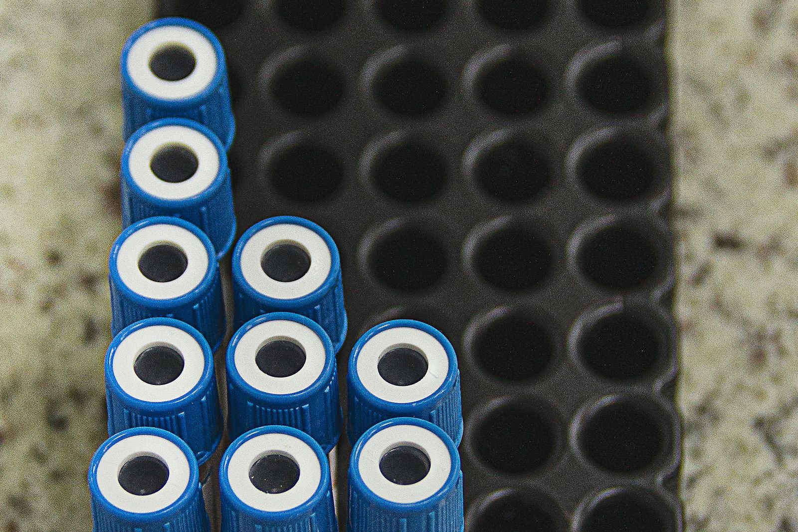 Blood sample tubes in a laboratory rack