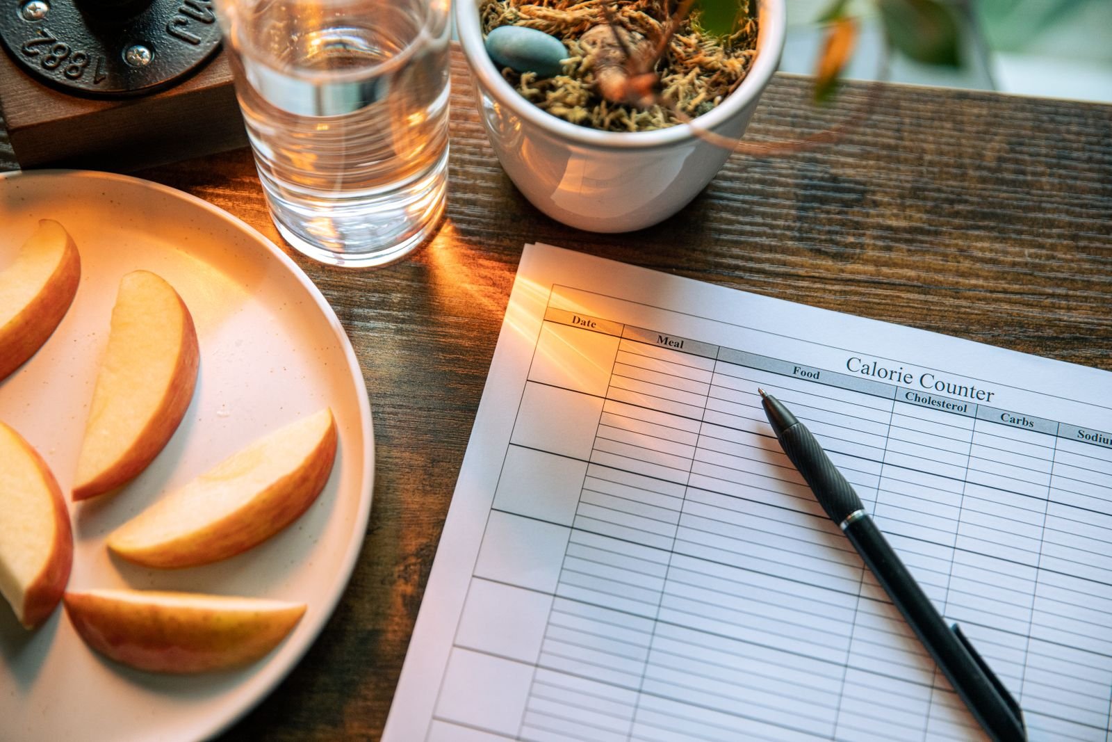 Calorie tracking sheet beside apple slices and a glass of water