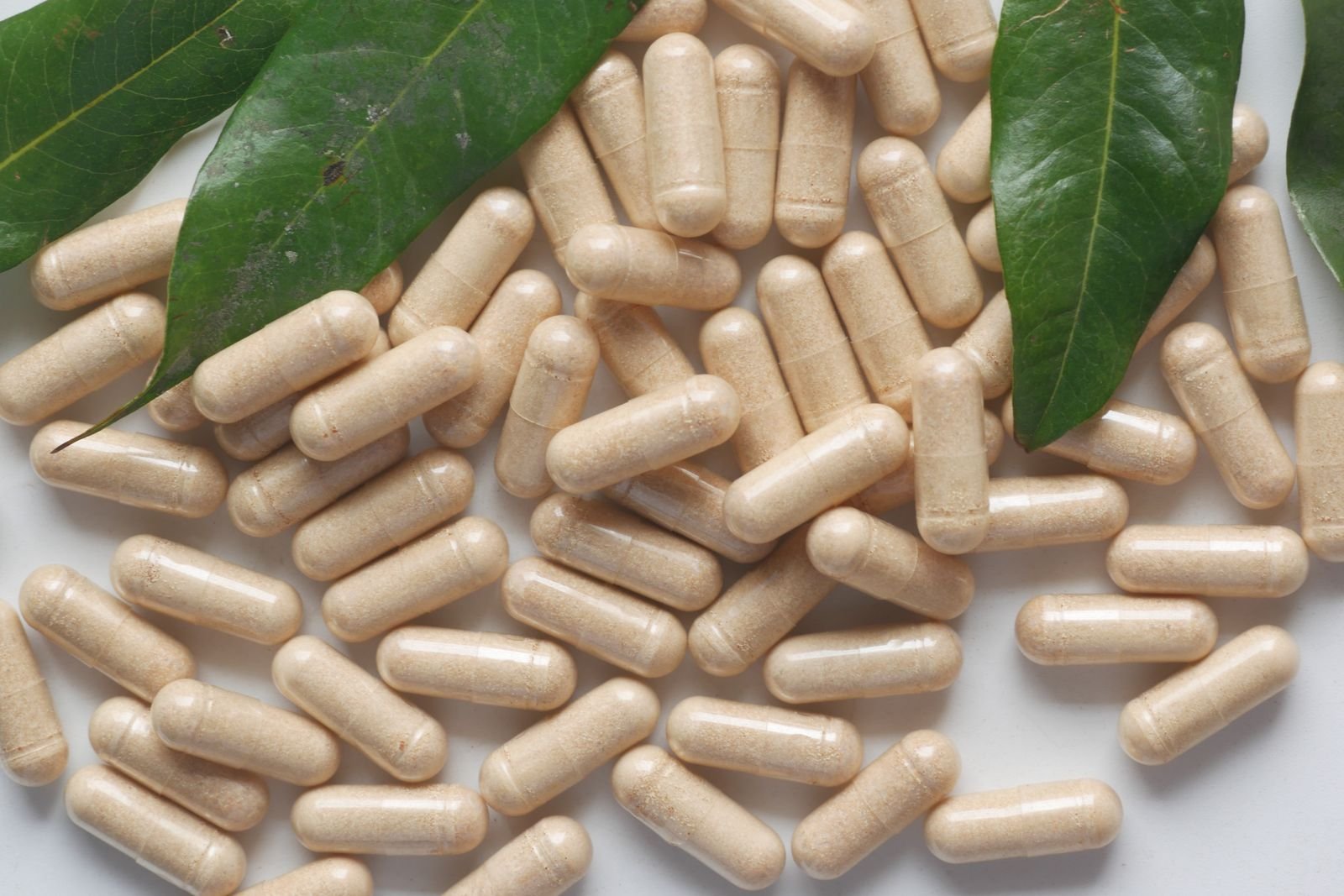 Capsules with fresh green leaves on a white background
