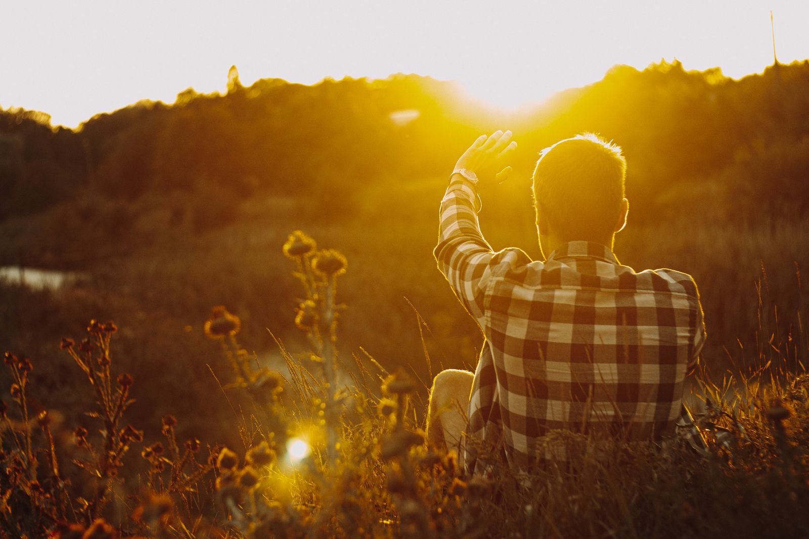 Man sitting in a meadow in late afternoon sunlight