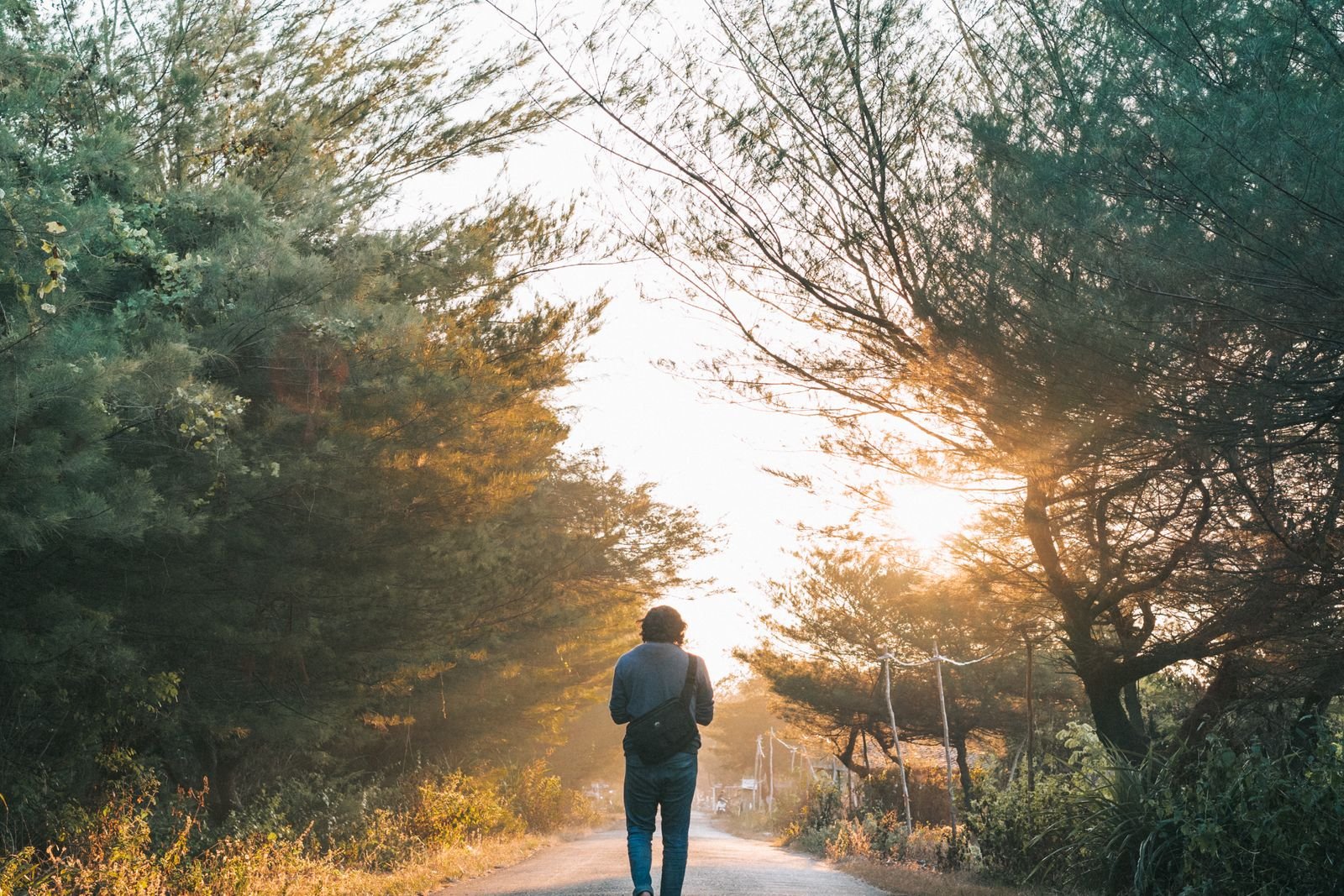 Man walking a tree lined path in autumn light