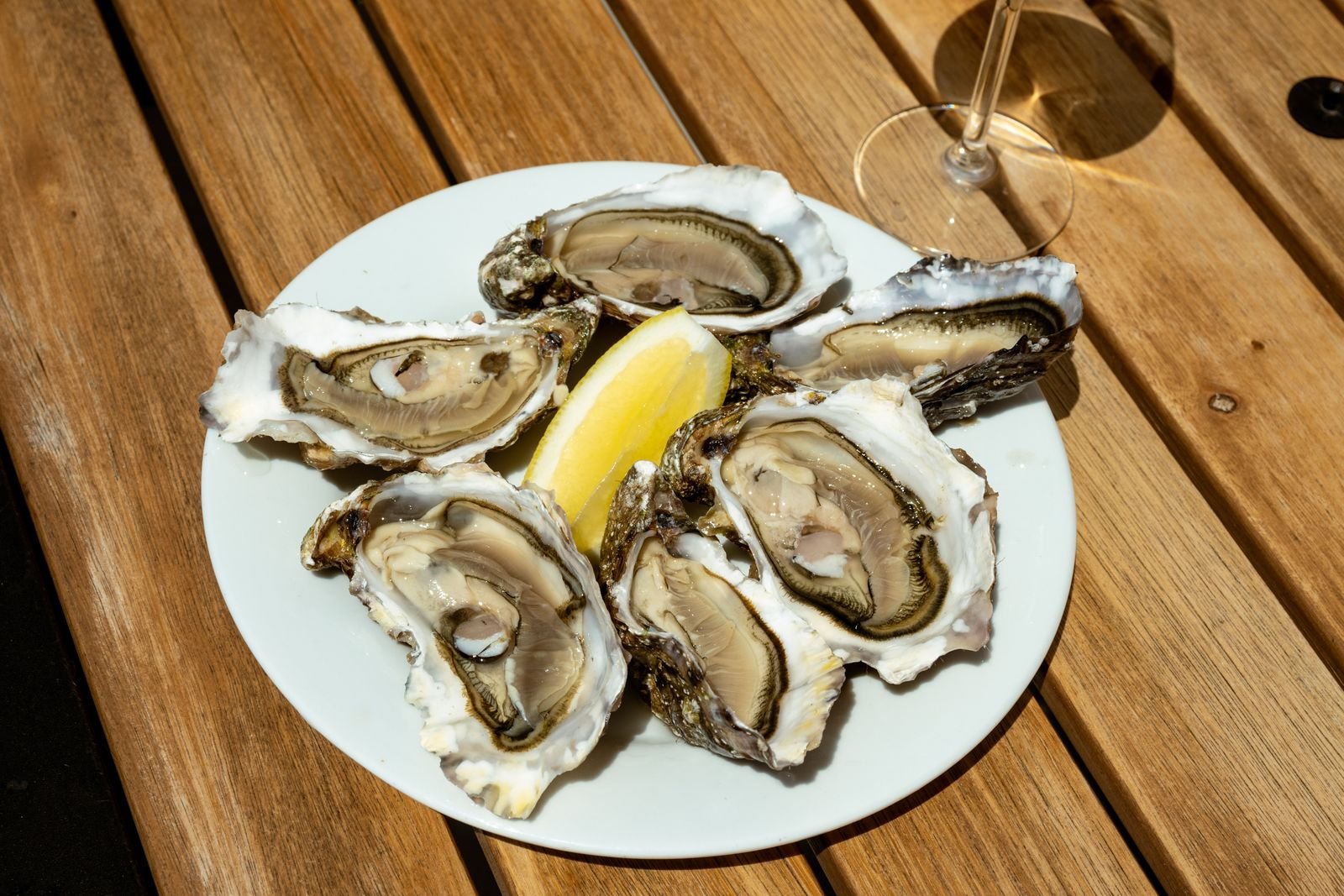 Plate of fresh oysters with lemon wedges