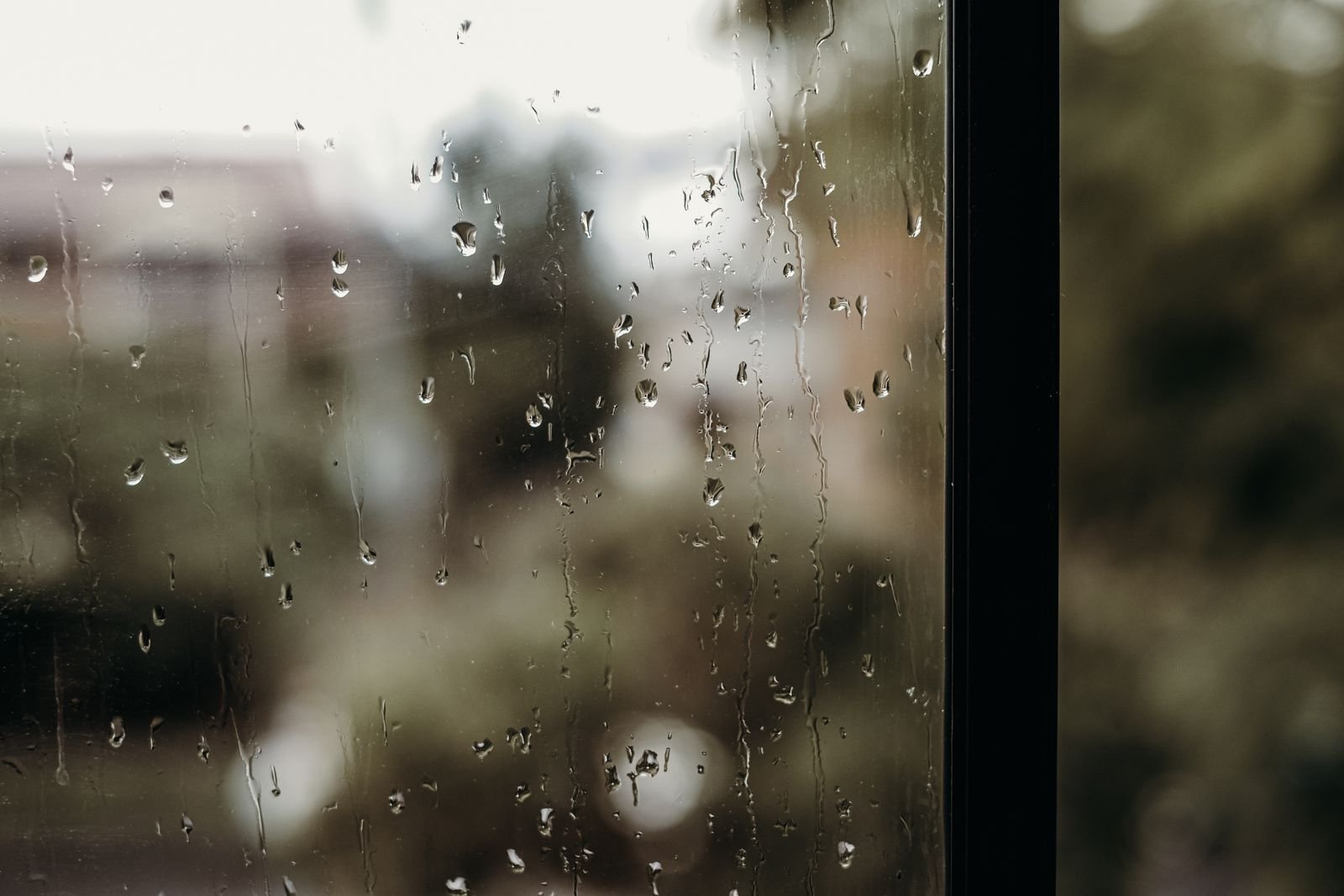 Raindrops on a window pane