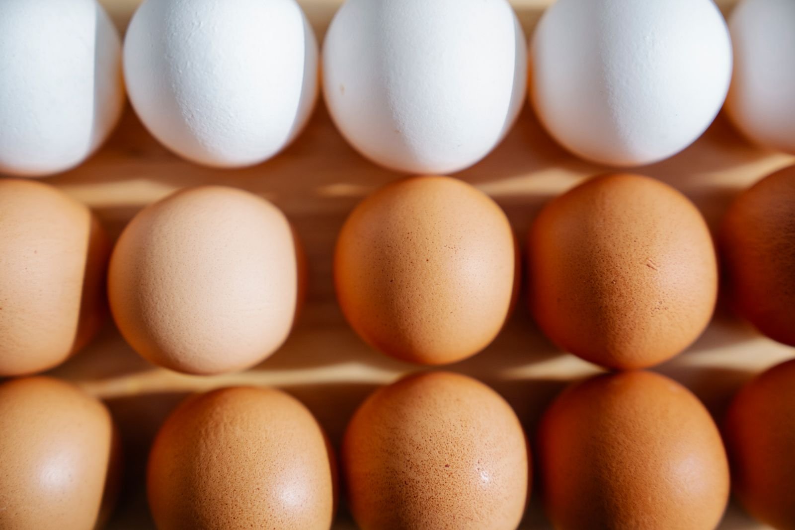 Rows of brown and white eggs
