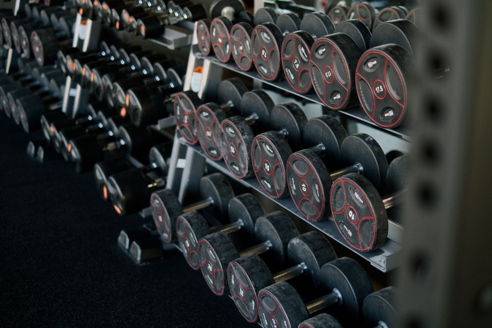 Rows of dumbbells on a gym rack