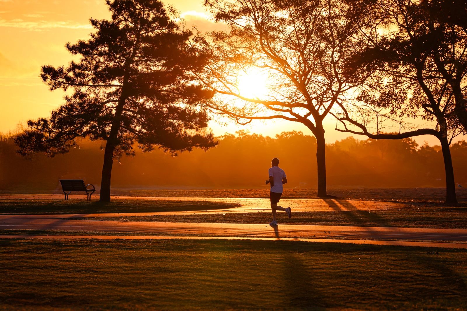 Runner silhouetted against the sunrise in a park