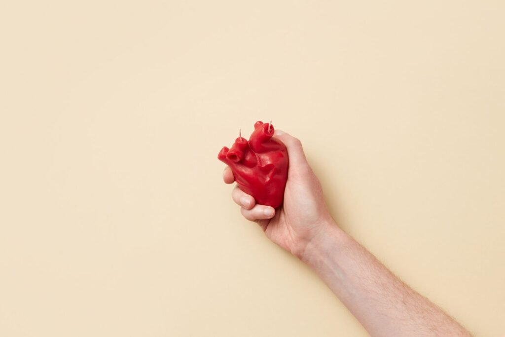 Hand holding a red model of a human heart